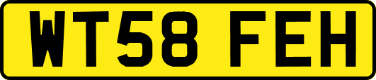 WT58FEH