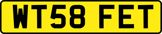 WT58FET