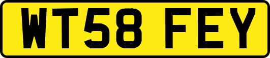 WT58FEY