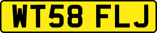 WT58FLJ