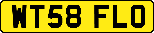 WT58FLO