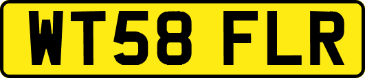 WT58FLR
