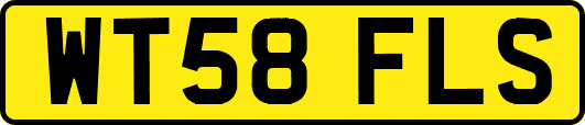 WT58FLS