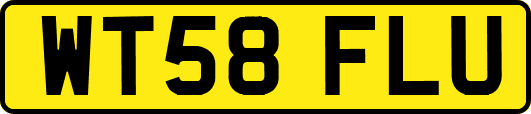 WT58FLU