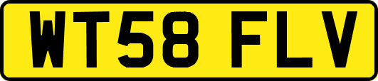 WT58FLV