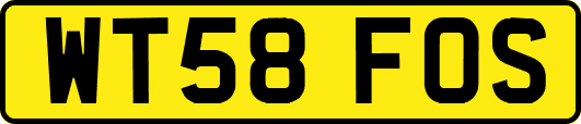 WT58FOS