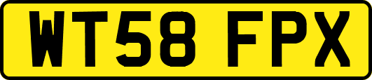 WT58FPX