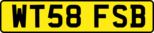 WT58FSB