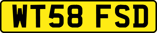 WT58FSD