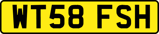 WT58FSH