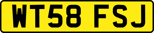 WT58FSJ