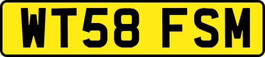 WT58FSM