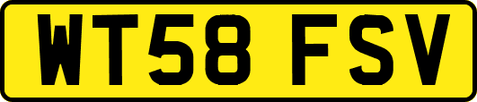 WT58FSV