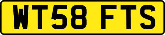 WT58FTS
