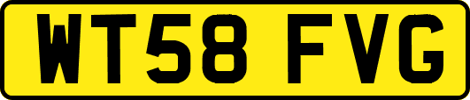 WT58FVG