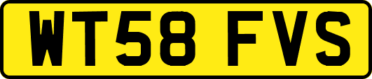 WT58FVS