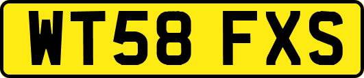 WT58FXS