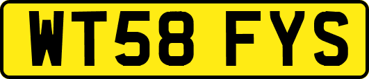 WT58FYS