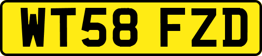 WT58FZD