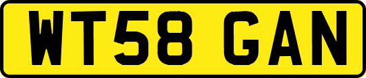 WT58GAN