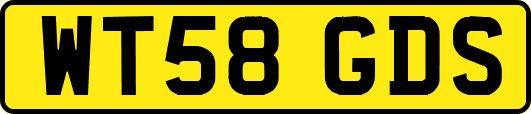 WT58GDS