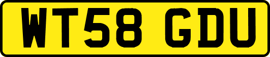 WT58GDU