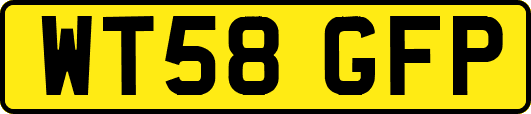 WT58GFP