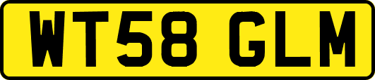 WT58GLM