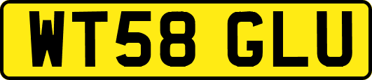 WT58GLU