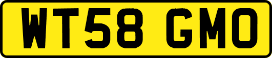 WT58GMO