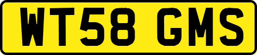 WT58GMS