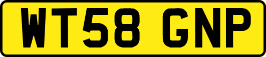 WT58GNP
