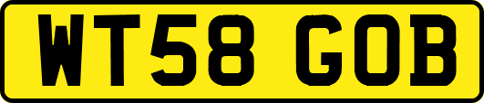 WT58GOB