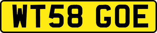 WT58GOE