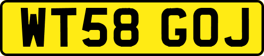 WT58GOJ