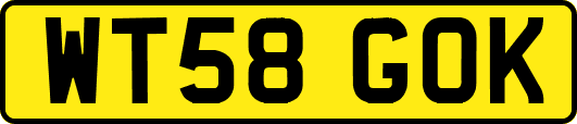 WT58GOK
