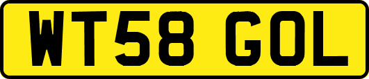 WT58GOL