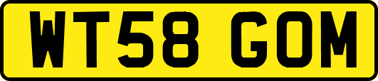 WT58GOM