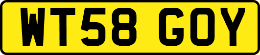 WT58GOY