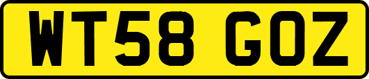 WT58GOZ