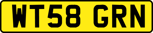 WT58GRN