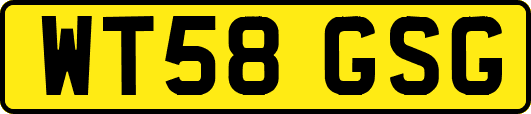 WT58GSG