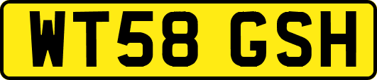 WT58GSH
