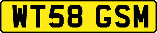 WT58GSM
