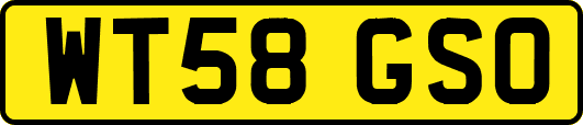 WT58GSO