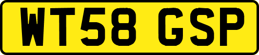 WT58GSP