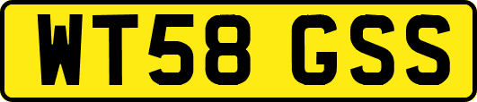 WT58GSS