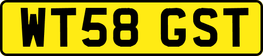 WT58GST