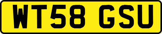 WT58GSU
