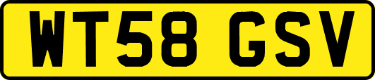 WT58GSV